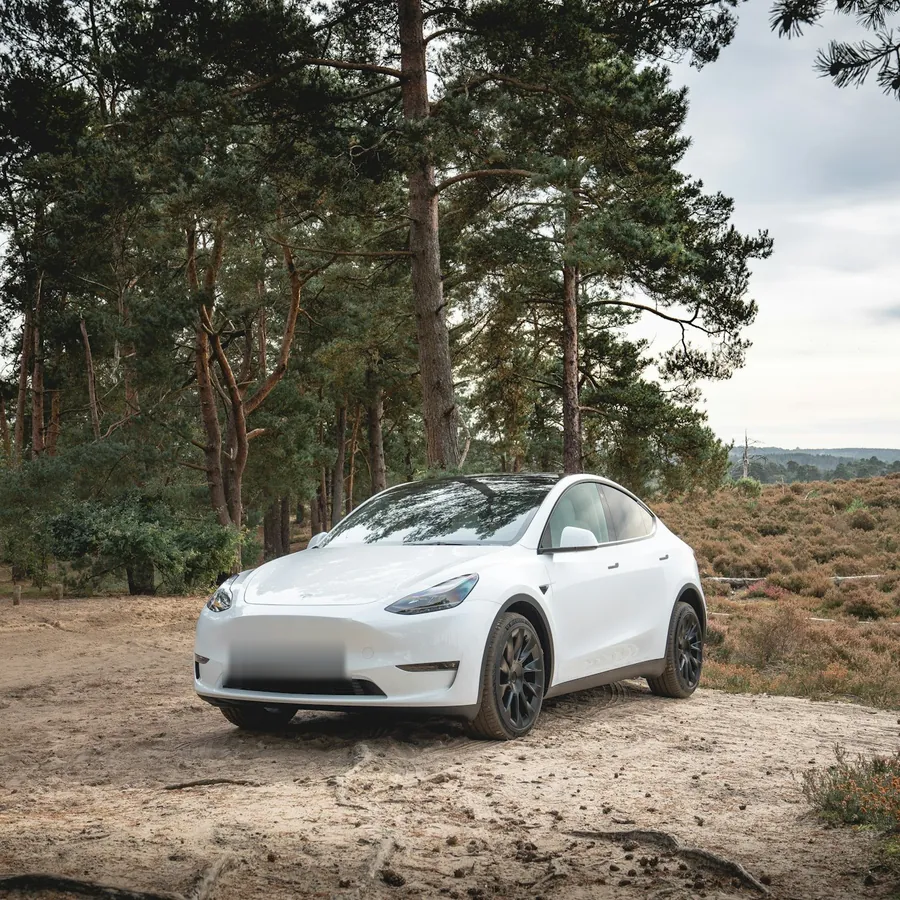 Valkoinen Tesla Model Y metsätiellä
